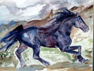 Run like the wind