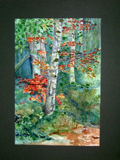 Woodland Surprise 